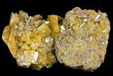 Wulfenite Crystal Cluster on Mimetite - Mexico #139793-1